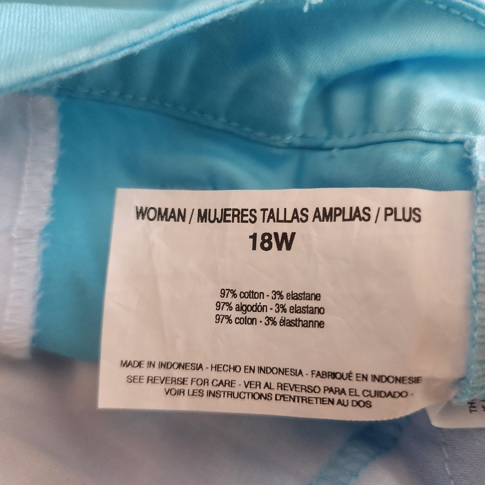 Lot of 3 Belk shorts NWT Rafaella, gently worn Kim Rogers and Bandolino 18W - Picture 8 of 16